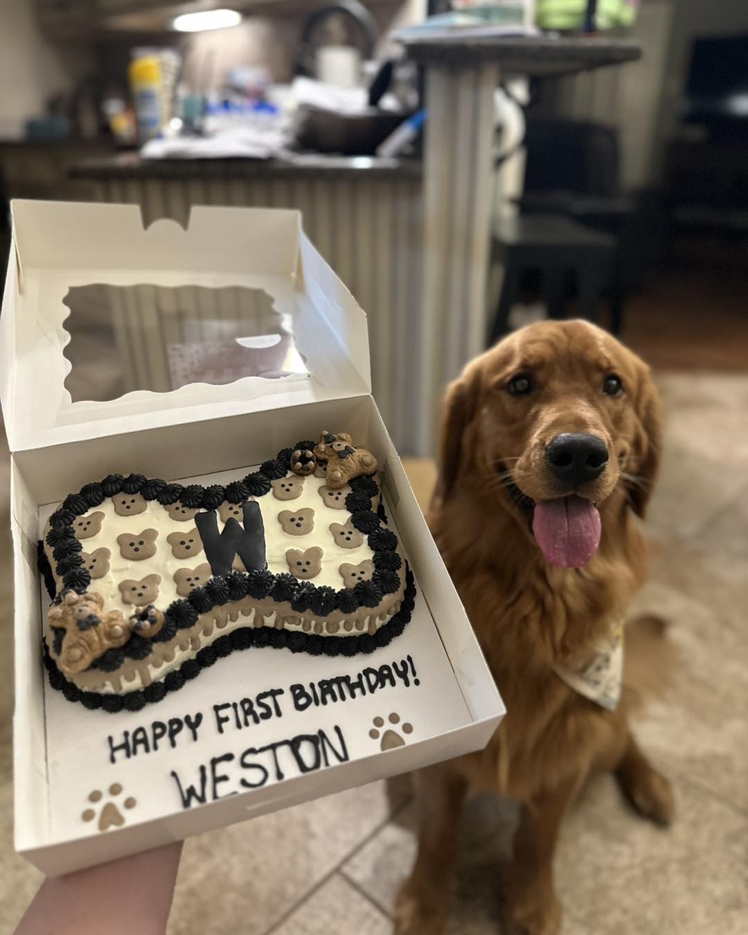 The Bark Cake